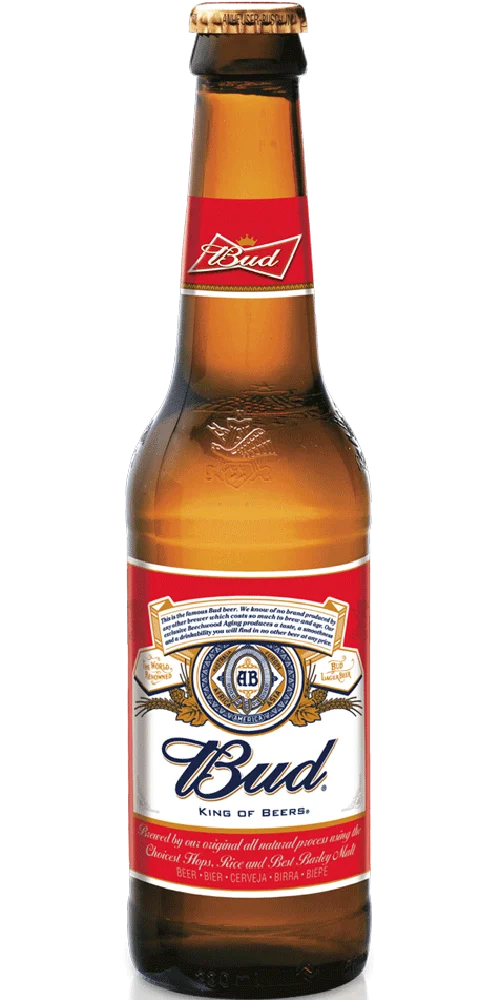 Birra Bud 33cl x 24