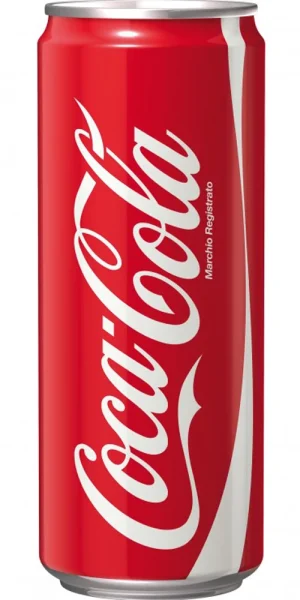 Coca Cola Lattina 33cl x 24