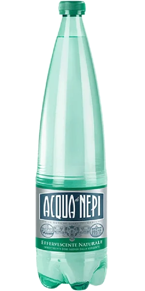 Acqua di Nepi effervescente in plastica 1L x 12