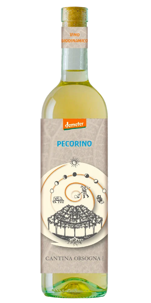 Pecorino Terre di Chieti Igp Demeter Bio Veg 2020 75cl - Cantina Orsogna