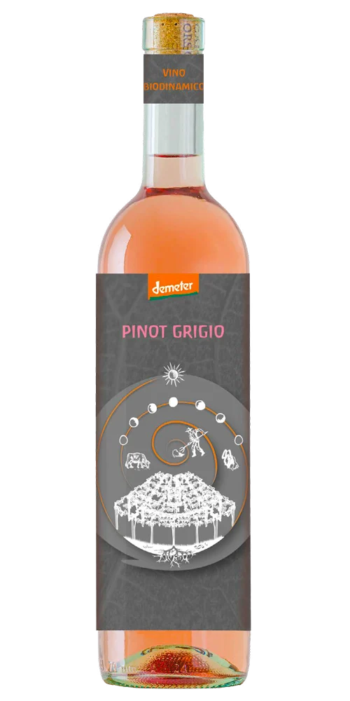 Pinot Grigio Terre di Chieti Igp Demeter Bio Veg 2020 75cl - Cantina Orsogna