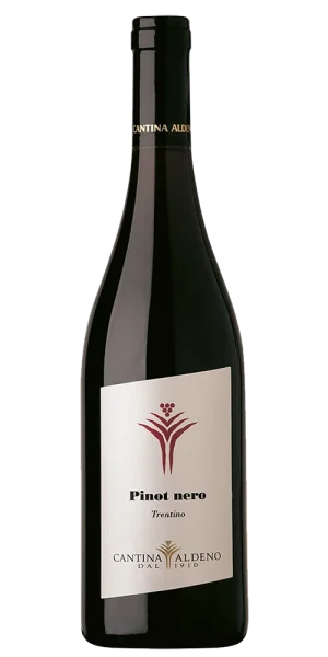 Pinot Nero Riserva Trentino Doc 2018 75cl - Aldeno