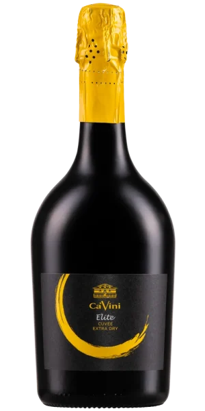 Cuvée Elite Extra Dry Millesimato 75cl - Ca' Vini Toser Vini