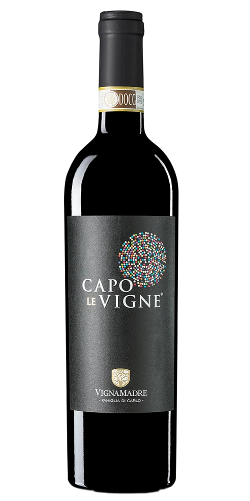 Montepulciano D'Abruzzo Doc Capo Le Vigne 2017 75cl BIO  Vigna Madre