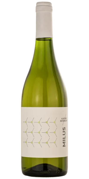 Etna Bianco Superiore Doc 2020 75cl Cantine di Nessuno